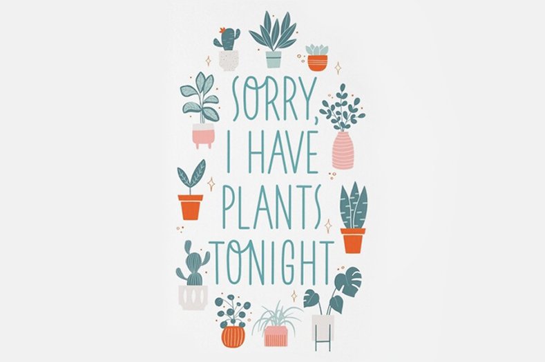 sorry I have plants tonight